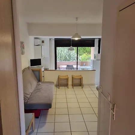 Studio Dans De Tourisme Apartment *
